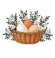 Image Not Available
